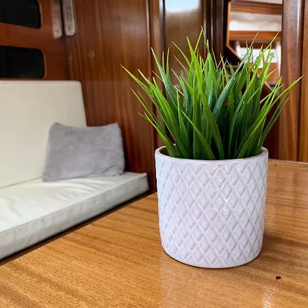 Ботель Espacioso Velero Junto A La Playa Bcn Бадалона